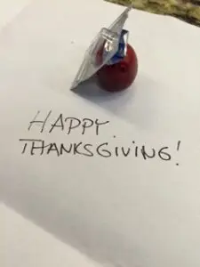 A THANKSGIVING TALE